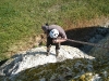 Climbdown to the nest
