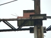 Nestbox for the Saker