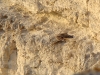 Flying-off