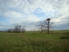 And this is the nest of eagles!  