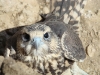 He is so cute!