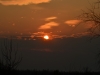 Закат солнца – скоро время учитывать сов