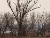 Орлан на присаді, Кременчуцька ГЕС. Фото М. Борисенко