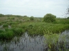 Весенний паводок на болоте Широкое