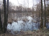 Весенний паводок в южной части болота Бондаревское