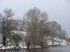 Орланы около Кременчугской ГЭС. Фото М. Гаврилюк