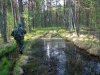 Комары вынуждают в мае использовать капюшон (на фото Ю. В. Кузьменко)