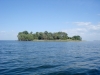 На таком небольшом острове среди Кременчугского водохранилища было выявлено гнездо орлана, 2012 (М. Гаврилюк)
