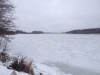 Річка Прип’ять майже на всіх ділянках вкрита льодом
