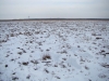 Зимний пейзаж охотничьей территории большого подорлика в Бебжанском НП