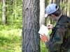 І. Комарницький проводить опис гніздової ділянки канюка