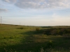 Степова балка біля гнізда балабана в Миколаївській області