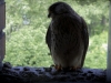 image030