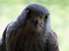 image043