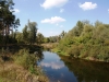 Река Ворскла в районе Новых Санжар (фото: wikimedia.org)