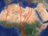 Мапа переміщень самки кібчика Ringlo. Джерело - сайт satellitetracking.eu
