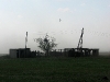 Гнездо курганника на краю хутора