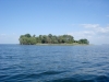 На таком небольшом острове среди Кременчугского водохранилища было выявлено гнездо орлана, 2012 (М. Гаврилюк)