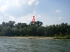 Другая пара орланов на острове среди Кременчугского водохранилища. Гнездо видно издалека на самом высоком дереве, 2012 (М. Гаврилюк)