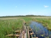 Брід на урочище
