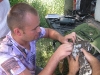 Проходим курсы кройки и шитья (Ю. Милобог)